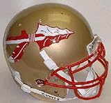 Florida State Seminoles NCAA Mini Authentic Football Helmet From Schutt
