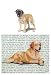 Mastiff Glass Cutting Board