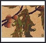IMAGE OF Pin Oak, Framed Art Print by Anita Munman