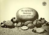 Cover of On My Beach There Are Many Pebbles by Leo Lionni 0688132847