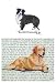 Border Collie Glass Cutting Board