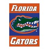 Florida Gators Premium 28x40 Banner Flag
