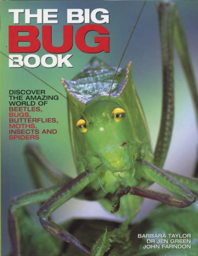Childrens Toyshop   : The Big Bug Book