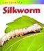 Life Cycle of a Silkworm (Life Cycle of a)