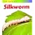 Life Cycle of a Silkworm