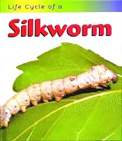 Life Cycle of a Silkworm (Life Cycle of a)
