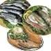 The Trout Sampler