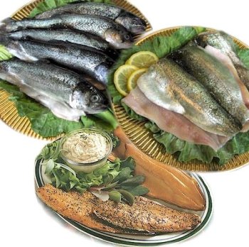 The Trout Sampler by Charleston Seafood