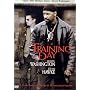 Training Day <b>DVD</b> ~ Denzel Washington