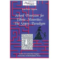 School Provision for Ethnic Minorities: the Gypsy Paradigm: 11 (The Interface Collection)