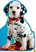 102 Dalmatians: Take Me Home! (Disney's 102 Dalmatians)