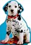 102 Dalmatians: Take Me Home! (Disney's 102 Dalmatians)