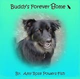 Buddy's Forever Home