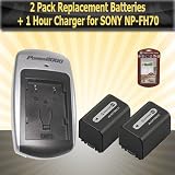 2 Pack Of Sony NP-FH70 Replacement Batteries 2000MAH Each + 1 Hour Charger For Sony DCR-SR220 DCR-SR45 DCR-SR65 DCR-SR85 HDR-HC9 HDR-SR10 HDR-UX10 HDR-UX20 HDR-HC9 HDR-SR12 UX20 HDR-UX10 SONY HDR-TG1 + Free Pack Of LCD Screen Protectors