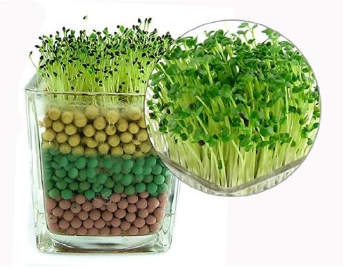 Magic Negative Ion Plant Cultivation Desktop Plant-Heart Shaped Grass