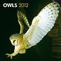 Owls 2012