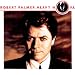 robert palmer - simply irresistible