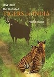 The illustrated tigers of India
