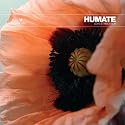 Love Stimulation (Love Mix)