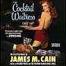 The Cocktail Waitress