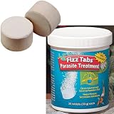 Pond Fizz Tabs Parasite Treatment