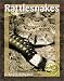 Rattlesnakes (Predators in the Wild)