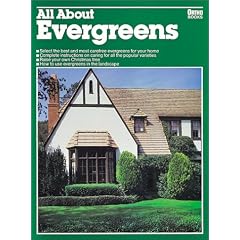All About Evergreens (5259)