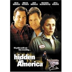 Hidden In America