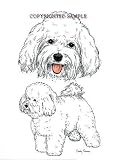 Bichon Frise - Double Image by Cindy Farmer