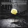 The Lone Flower