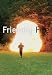 Books : Friendly Fire (German Edition)
