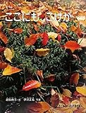 ここにも、こけが… (たくさんのふしぎ傑作集)