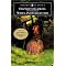 Books to cozy up with on a rainy day