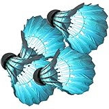 Ohuhu&reg; LED Badminton Shuttlecock Dark Night Glow Birdies Lighting For Outdoor & Indoor Sports Activities, 4-piece