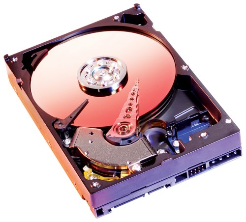 City Travel Guides Discounted  PC Hardware : Western Digital WD800JDRTL2 Caviar 80GB Special Edition SATA 7200rpm 8MB Cache Retail Festplatte