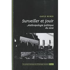 Surveiller et jouir : Anthropologie politique du sexe