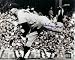 Whitey Ford Autographed/Hand Signed New York Yankees 8x10 Photo