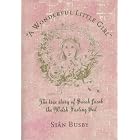 A Wonderful Little Girl: The True Story of Sarah Jacob the Welsh Fasting Girl by Sian Busby