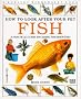 Fish (How to Look After Your Pet)