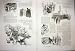Bric-A-Brac Sketch Paris France Life French Print 1936