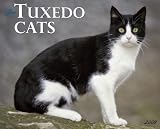 Tuxedo Cats 2009 Calendar (Just)