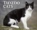 Tuxedo Cats 2009 Calendar (Just)