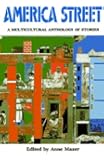 America Street: A Multicultural Anthology of Stories