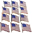 12 American Flag Waving Lapel Pins U.S.A. United States