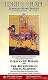 Learning from Stories : A Lecture plus Teaching Stories and Narratives