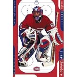 (24x36) Jose Theodore Montreal Canadiens goalie Hockey Poster