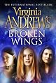 Broken Wings