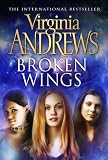 Broken Wings