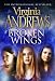 Broken Wings