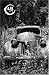 Magazines : Apalachee Review